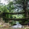 1537621742 living root bridge india.jpg?w=60&h=60&dpr=1